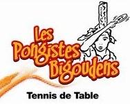 Logo PONG BIGOUDENS